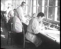 La syphilis, l'ennemi public n°1 (F 1939)