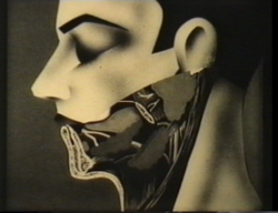 Feind im Blut (CH/D 1931)