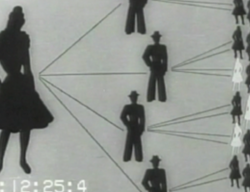 Reaktion: positiv (D-West 1947/1948)