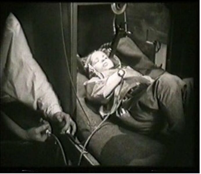 Fichier:Mechanics of the brain.jpg